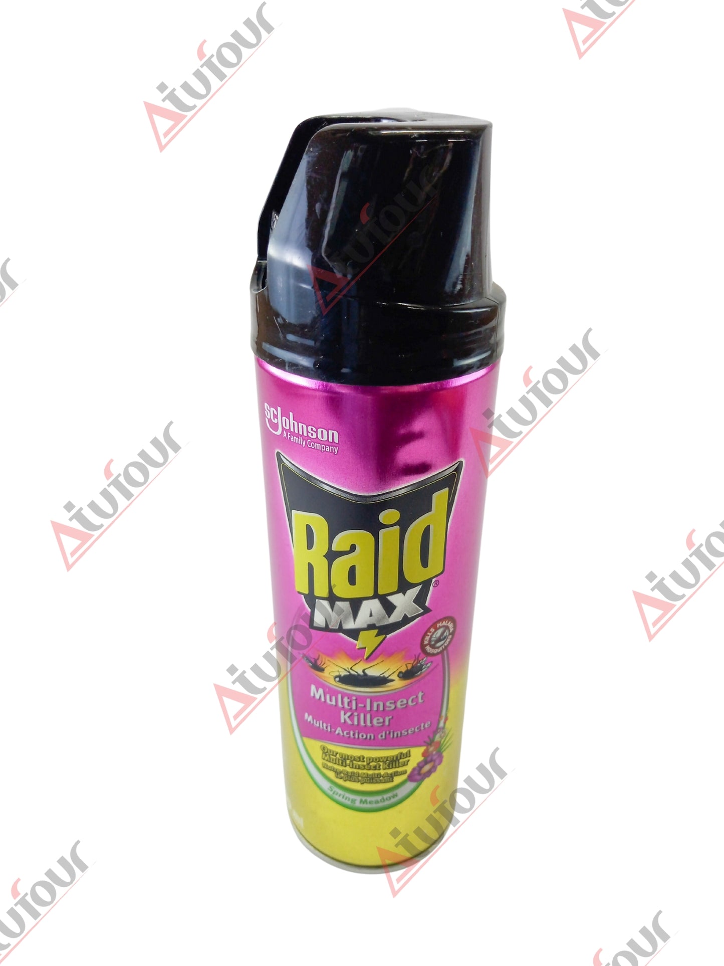 Raid Max Insecticide Spray 300ml
